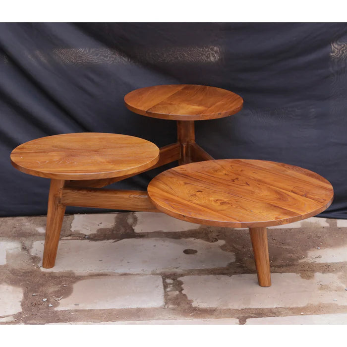Melodious Multi-Top Compartment Wooden Handmade Coffee Table