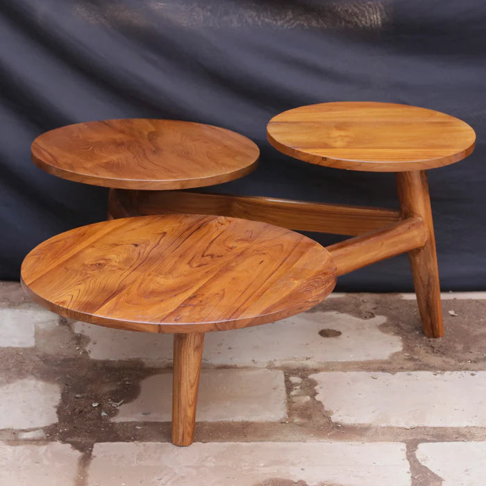 Melodious Multi-Top Compartment Wooden Handmade Coffee Table