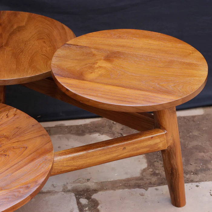 Melodious Multi-Top Compartment Wooden Handmade Coffee Table