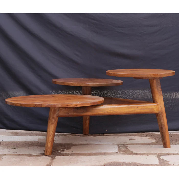 Melodious Multi-Top Compartment Wooden Handmade Coffee Table